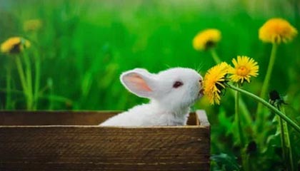 AYX体育官网-电竞电竞赛事透明化管理体系与公平竞争保障机制，电竞赛事包装